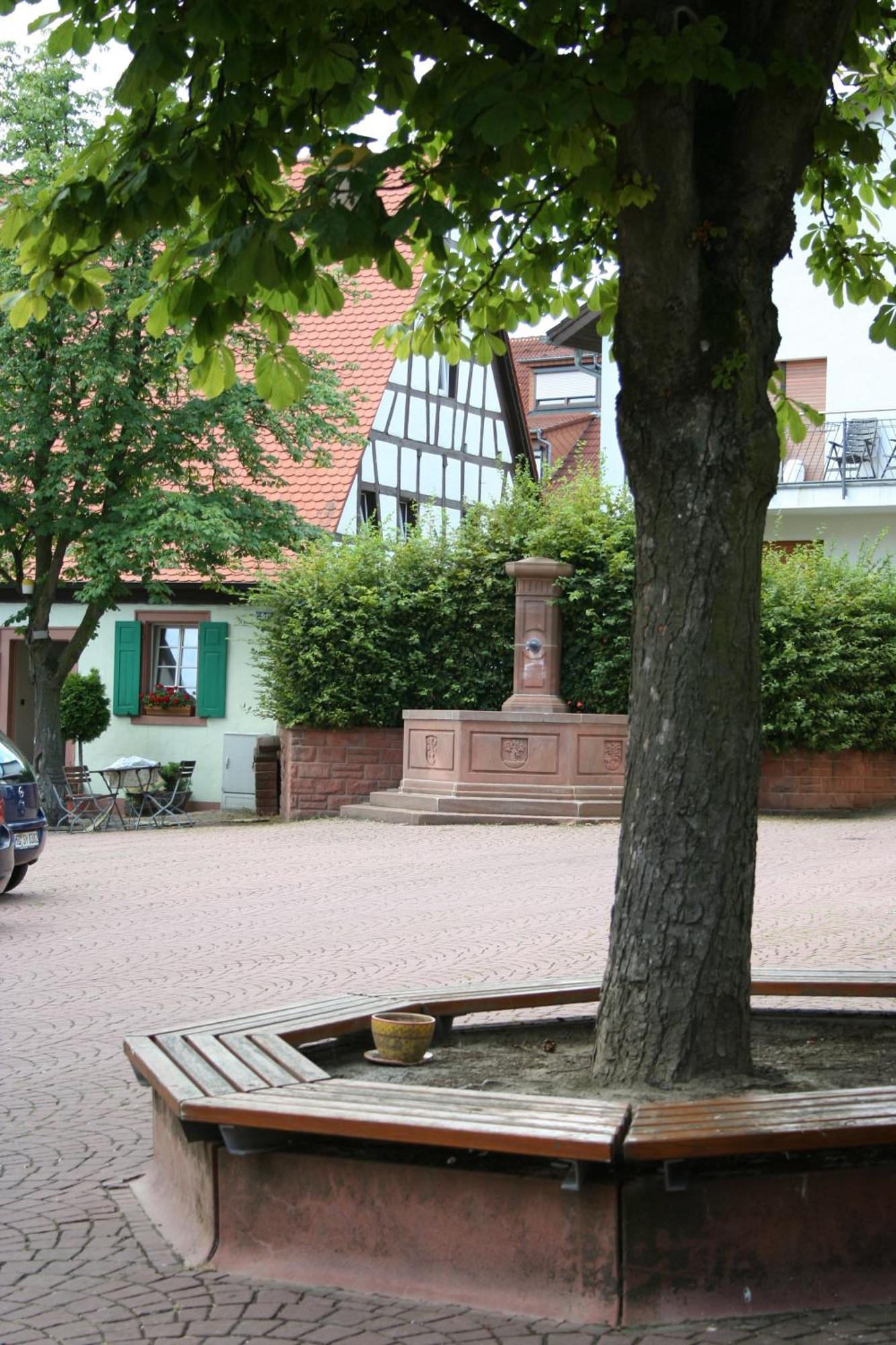 Landhotel Sickinger Hof Walldorf  Exterior foto